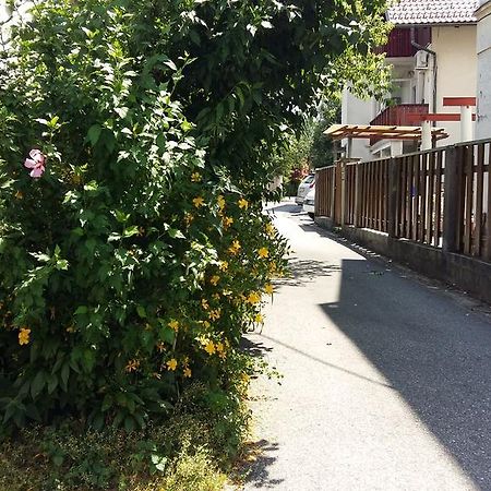 Sunflower Accommodation Ljubljana Exteriör bild