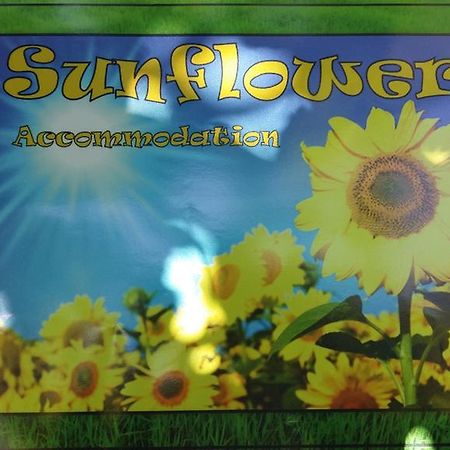 Sunflower Accommodation Ljubljana Exteriör bild
