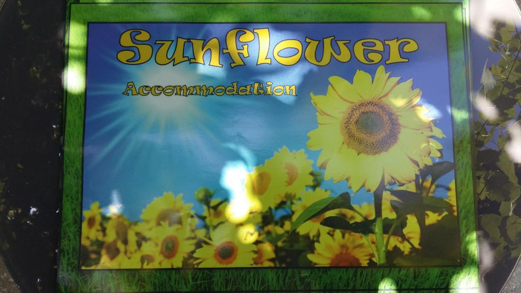 Sunflower Accommodation Ljubljana Exteriör bild